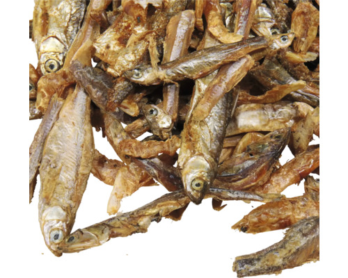 Getrocknete Fische für Gartenteich