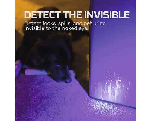 Produktbild zur Erkennung von Flecken durch Haustiere, Lecks und ausgelaufene Flüssigkeiten.