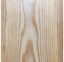 Holzstruktur eines Nadelholzes