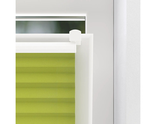 Nahaufnahme eines grünen Faltstores am Fenster