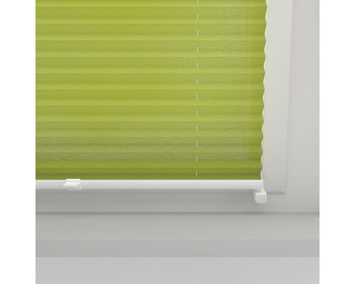 Grüne Faltstores am Fenster zur Lichtregulierung und als Sichtschutz.