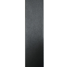 Trennwand 2-Elemente "Verriere Modulo" 163,2x108 cm schwarz ohne Glas-thumb-5
