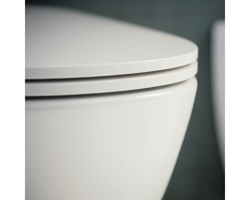 Detailaufnahme einer Toilette mit Toilettendeckel
