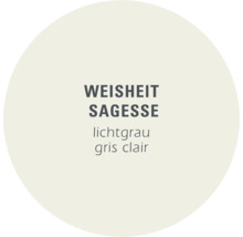 Farbmuster Weisheit Sagesse hellgrau
