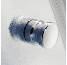 Detailaufnahme eines runden Türknaufs an einer Glasduschtür