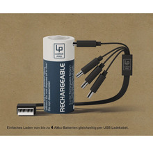 Lumak Pro Akku mit USB Ladekabel zum gleichzeitigen Laden von bis zu vier Akkus
