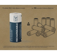 Lumak Pro C Akku Batterie ersetzt circa 150 normale C Alkaline Batterien.