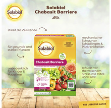 Solabiol Chabasit Barriere zur Stärkung der Zellwände und zum Schutz vor Schädlingen und Pilzkrankheiten