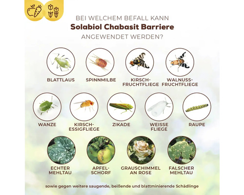 Pflanzenstärkungsmittel Chabasit Barriere Solabiol 400 g