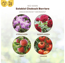 Solabiol Chabasit Barrier Anwendungsbeispiele: Sträucher, Zierpflanzen, Obst, Gemüse