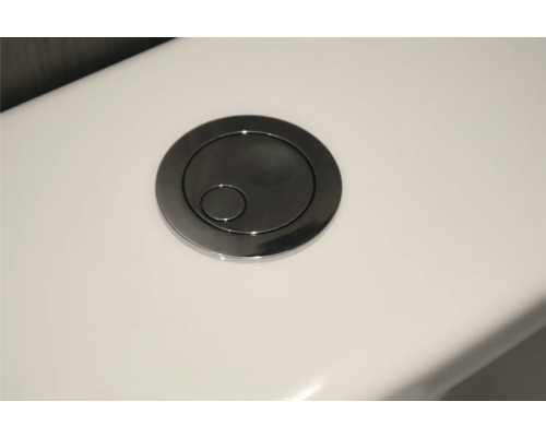 Spültaste eines Spülkastens