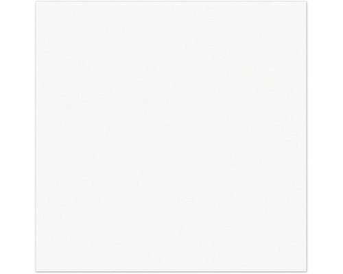 Weißer Hintergrund.