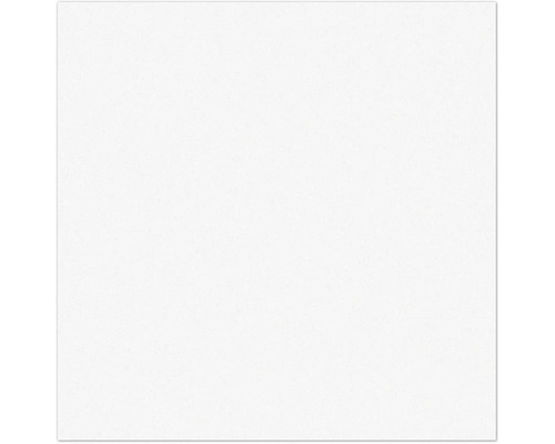 Einfarbiger Hintergrund.