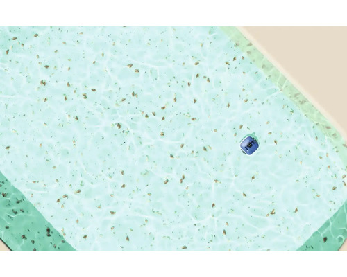 Schwimmbad mit Poolroboter und Laub