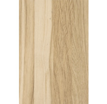 Nahaufnahme von Eichenholz