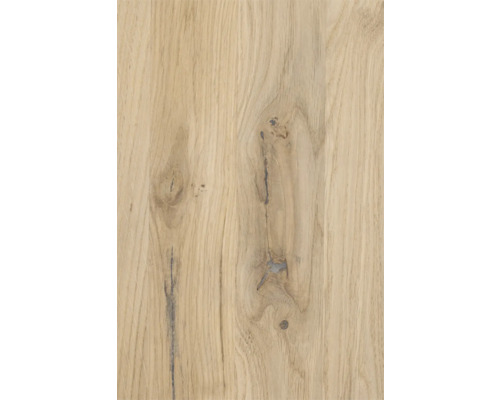 Holzoberfläche aus Eiche