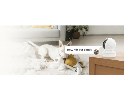 Szene mit einer Überwachungskamera, einem Hund, der ein Kissen zerreißt, und einer Sprechblase mit der Aufschrift Hey, hör auf damit.