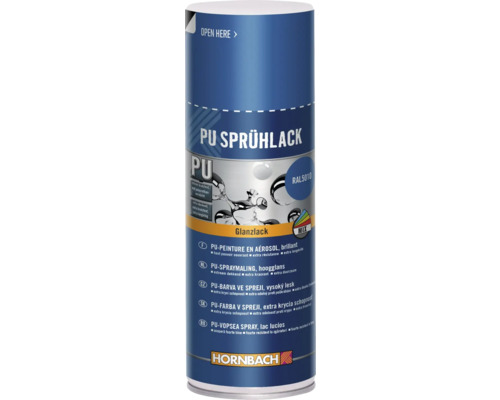 PU Sprühlack Dose mit Glanzlack und Hornbach Logo