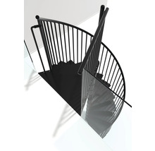 Schwarze Wendeltreppe mit Geländer und Stufen