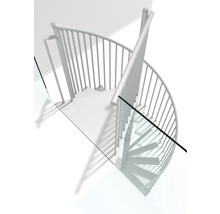 Wendeltreppe aus Metall mit Glasgeländer