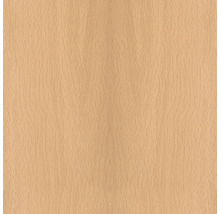 Holzfurnier Buche