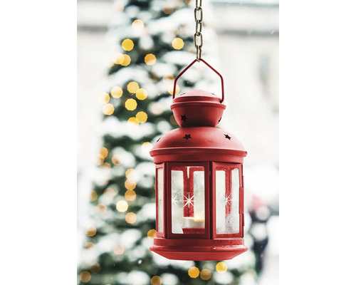 Dekorative Laterne mit Sternmuster hängt vor einem Weihnachtsbaum