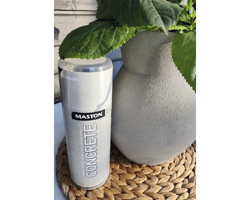 Mastons Concrete Effekt Spraydose neben einem Topf mit grünen Pflanzen