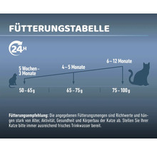 Katzenfutter trocken MR.BEEF Premium Junior Rind & Geflügel 3 kg
