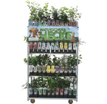 Verkaufswagen mit verschiedenen Heckenpflanzen im Topf