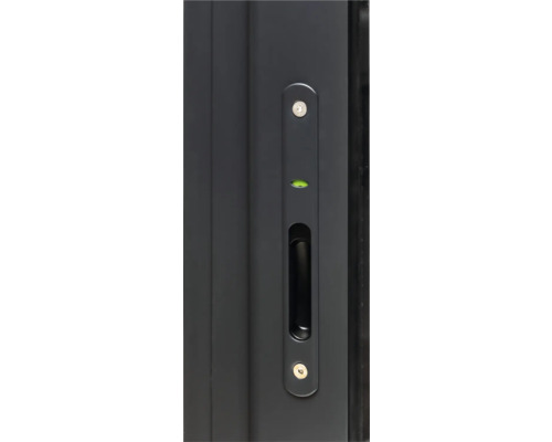 Türbeschlag mit Griff und Wasserwaage