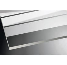 Drehtür für Nische Breuer Elana 6 750x2000 mm Anschlag links Dekorglas Lines schwarz