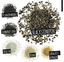 Abbildung von Pflanzsubstraten: Pflanzenkohle, schwarze Lava, Zeolith, Bims, Langzeitdünger und Blackstonepon