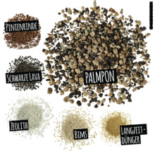 Abbildung verschiedener Pflanzsubstrate: Pinienrinde, schwarze Lava, Zeolith, Bims, Langzeitdünger und Palmpon