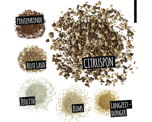 Zitruspflanzenerde, Pinienrinde, rote Lava, Zeolith, Bims und Langzeitdünger