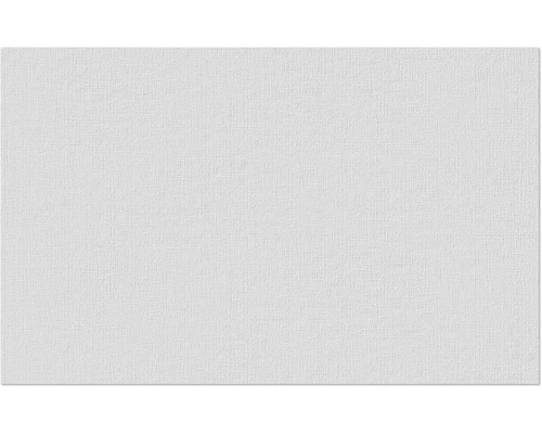 Erfurt Vliesfaser 1004303 Basic 101 10,05x0,53 m Weiße Struktur Tapete