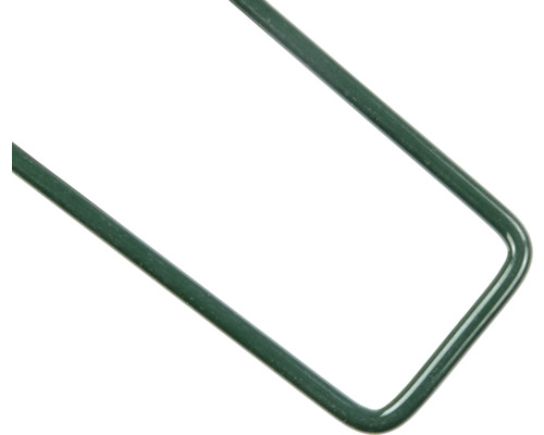 Detailansicht einer grünen Pflanzstab-Ecke