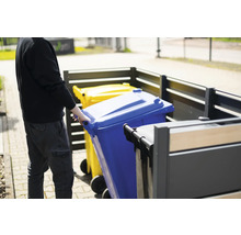 Mülltonnenbox mit blauer und gelber Mülltonne