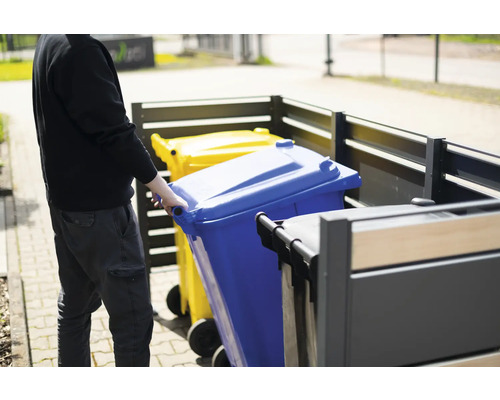Mülltonnenbox mit blauer und gelber Mülltonne