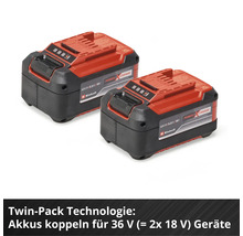 Zwei Einhell Power X-Change Akkus