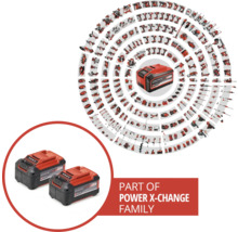 Einhell Power X-Change Akku und zugehörige Werkzeuge