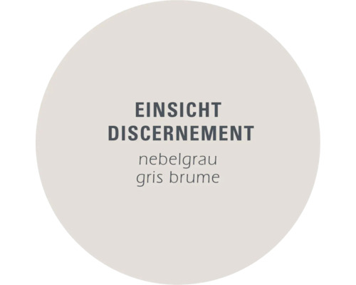 Farbfeld Einsicht nebelgrau