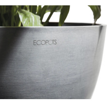 Nahaufnahme eines Pflanzgefäßes mit dem Schriftzug Ecopots