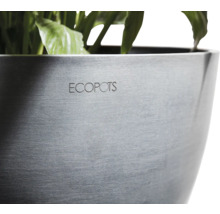 ECOPOTS Pflanzgefäß mit Bepflanzung