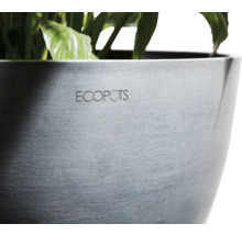 Ecopots Pflanztopf mit Pflanzen
