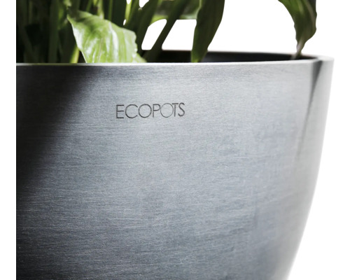 Ecopots Pflanztopf mit Pflanzen