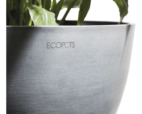 Ecopots Pflanzgefäß mit Bepflanzung