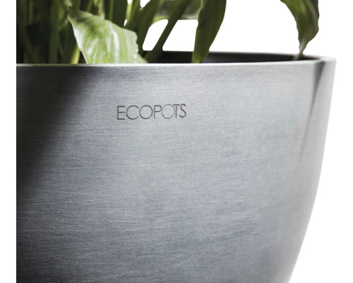 Ecopots Pflanzgefäß mit Pflanzen
