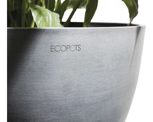 Nahaufnahme eines Ecopot Pflanzgefäßes mit Pflanze