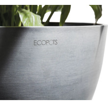 Ecobots Pflanzgefäß mit Pflanze
