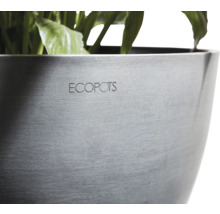 ECOPOTS Pflanztopf mit Pflanzen